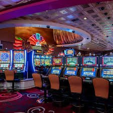 udintogel login Payment guide